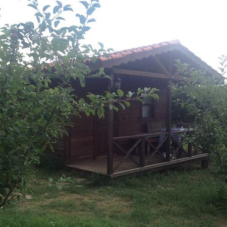 Gasthaus Salkim Konak Ve Agac Evler Selçuk Zimmer foto