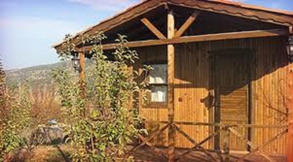 Gasthaus Salkim Konak Ve Agac Evler Selçuk Zimmer foto