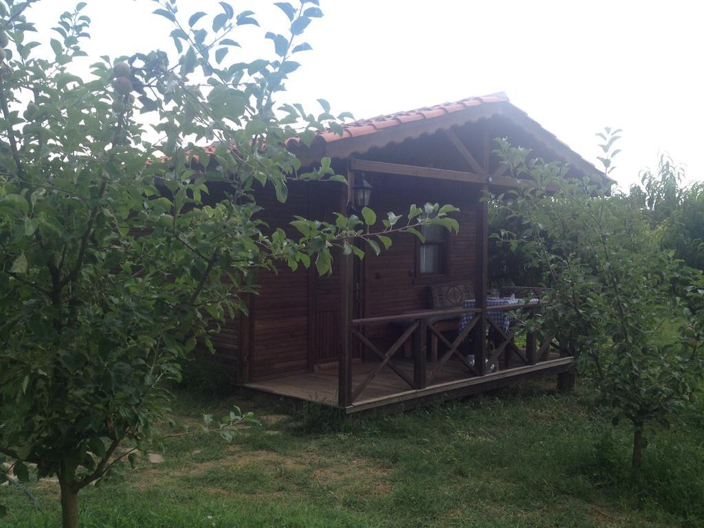 Gasthaus Salkim Konak Ve Agac Evler Selçuk Zimmer foto