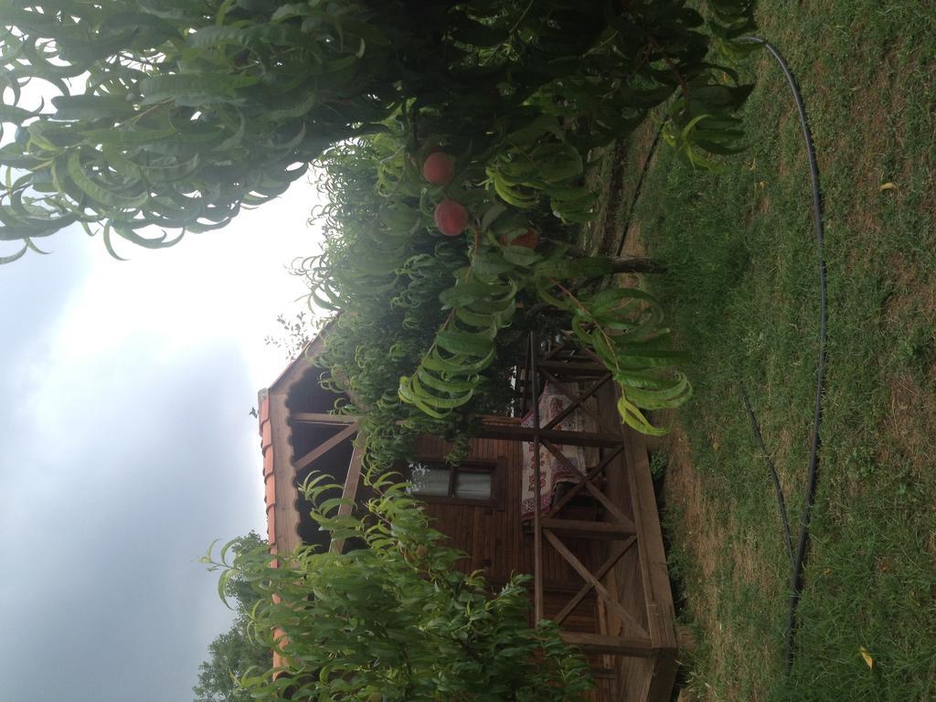Gasthaus Salkim Konak Ve Agac Evler Selçuk Zimmer foto