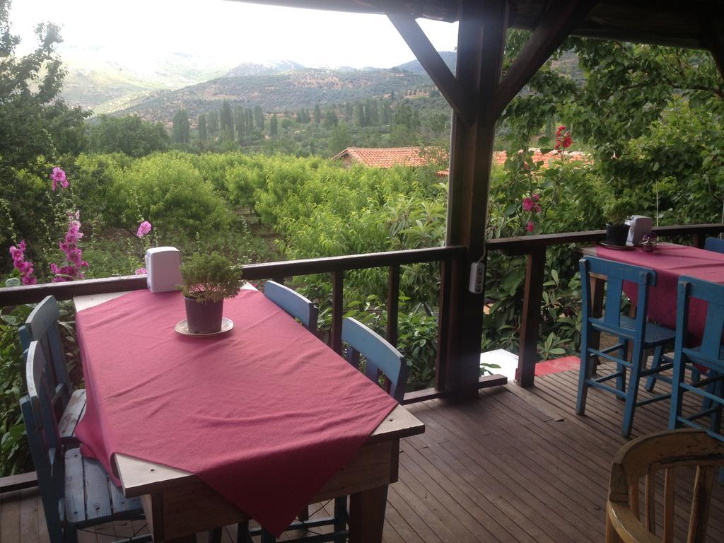 Gasthaus Salkim Konak Ve Agac Evler Selçuk Exterior foto
