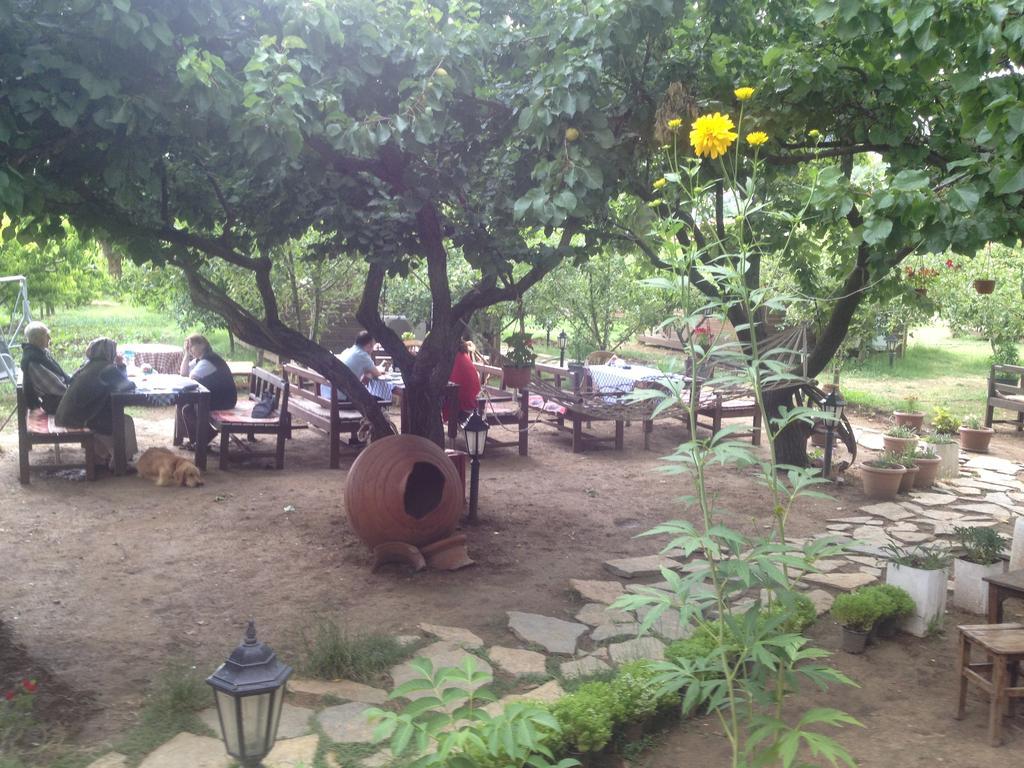 Gasthaus Salkim Konak Ve Agac Evler Selçuk Exterior foto