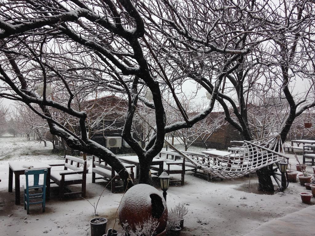 Gasthaus Salkim Konak Ve Agac Evler Selçuk Exterior foto