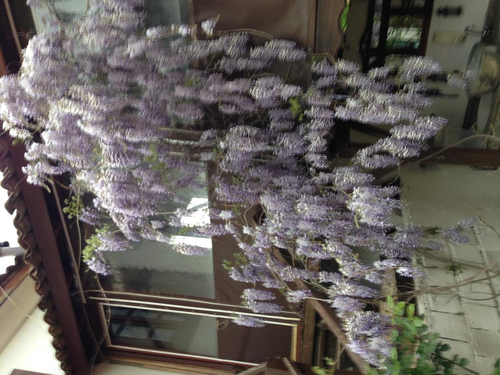 Gasthaus Salkim Konak Ve Agac Evler Selçuk Exterior foto