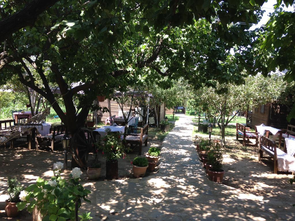 Gasthaus Salkim Konak Ve Agac Evler Selçuk Exterior foto