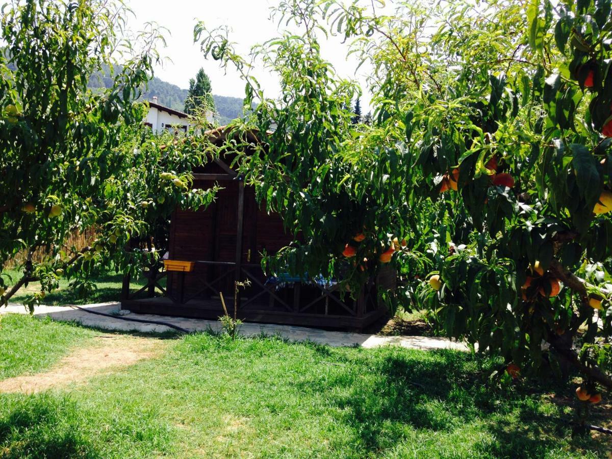 Gasthaus Salkim Konak Ve Agac Evler Selçuk Exterior foto